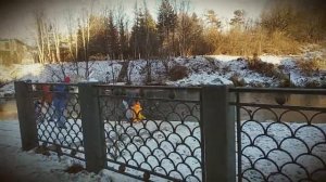 Хмурую землю стужа сковала... /Вероника Тушнова/