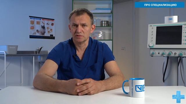 Про специализацию смотреть онлайн