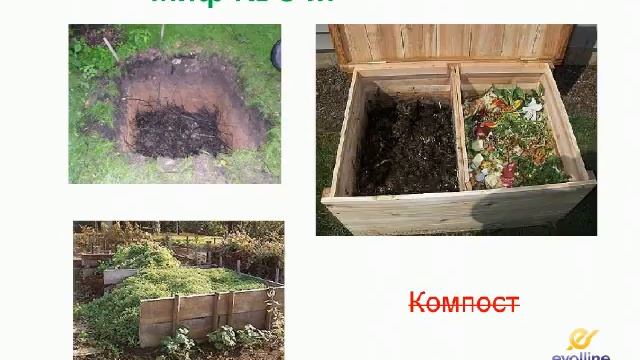 ☆ Мифы о выращивании еды ☆ Органическое земледелие ☆ Биозащита, биоудобрение для сада и огорода ☆