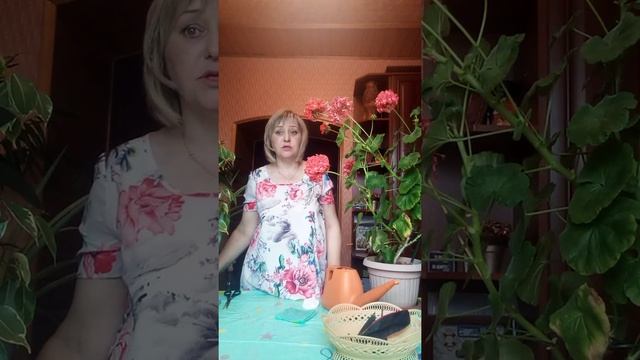 Коррекционно развивающее занятие 