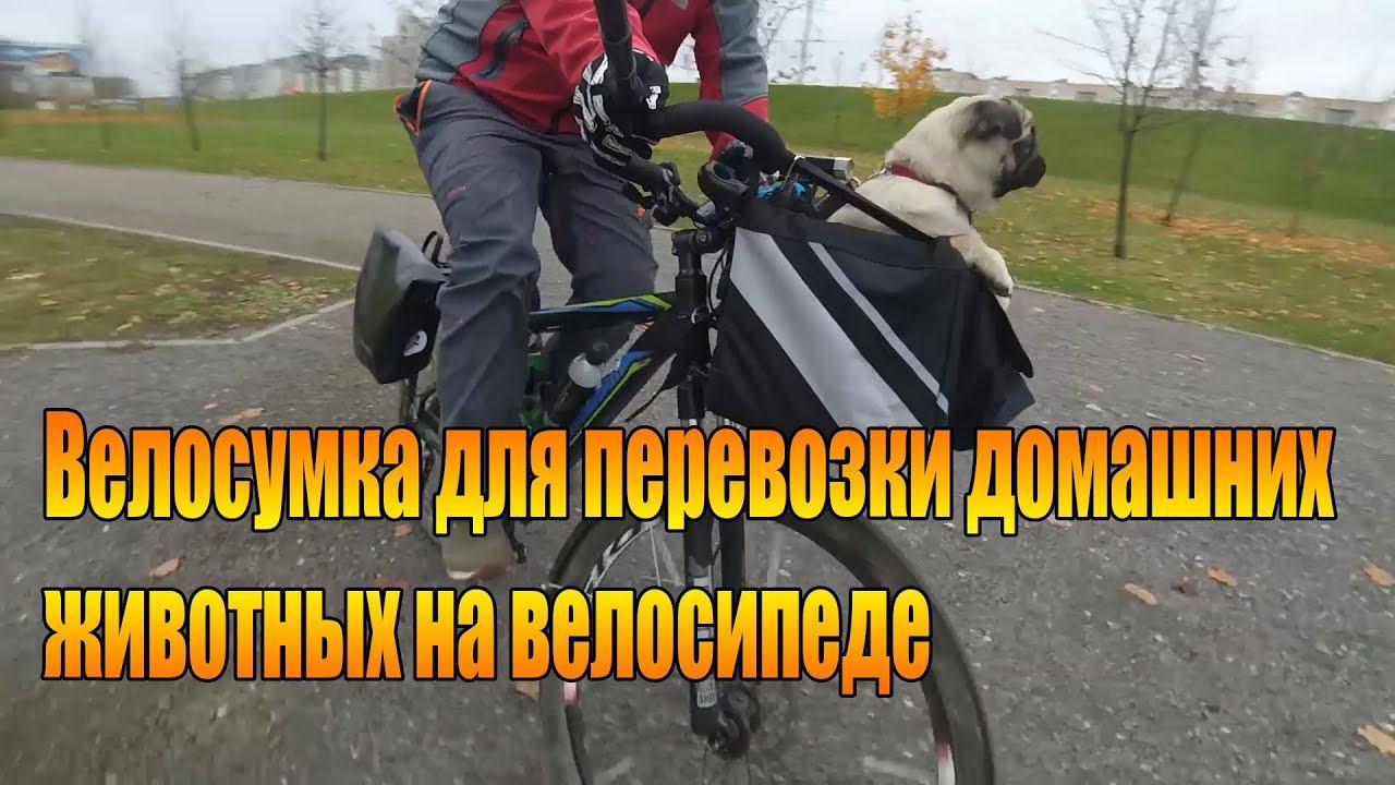 Велообзор: Велосумка для перевозки домашних животных на велосипеде.
