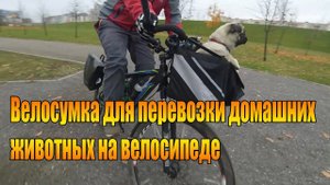 Велообзор: Велосумка для перевозки домашних животных на велосипеде.