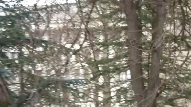 Крымская ВЕСНА: Вежливые люди 1.03.14 Свадебный Симферополь.