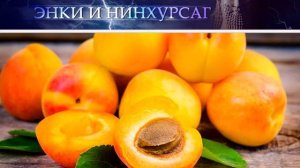Месопотамская мифология: ЭНКИ И НИНХУРСАГ (Миф шумеров)