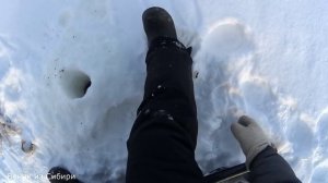 безумный клев окуня.avi