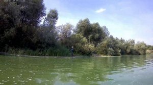 Чехонь 2022. А в вейдерсах то поклевок больше.