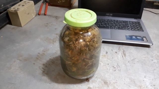 Мой табак и махорка. Различие табака от махорки. смотреть онлайн