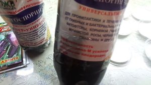 ФИТОСПОРИН. ГОТОВЛЮ РАБОЧИЙ РАСТВОР ДЛЯ ОБРАБОТКИ СЕМЯН. Ольга Чернова.