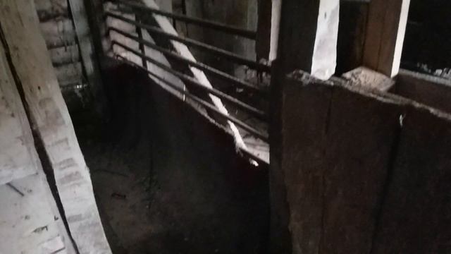 Почему мы не заводим скот. Как выбрать породу овец. смотреть онлайн