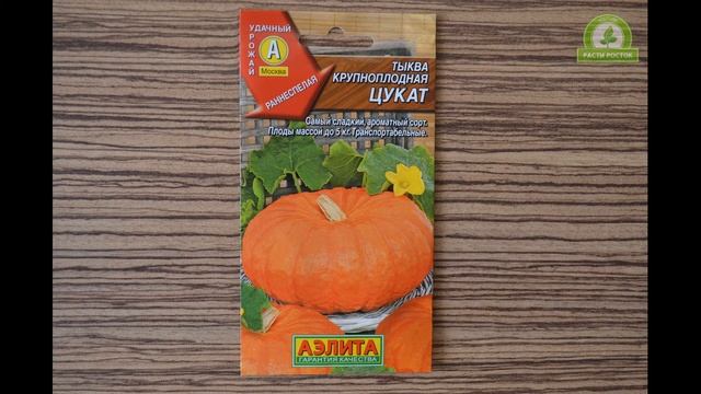 Обзор сортов семян тыкв #2 смотреть онлайн