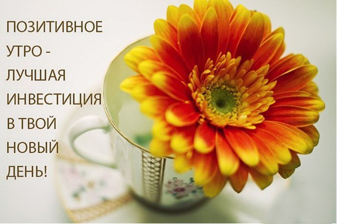 Доброе Утро! Утро Началось! Позитив с утра!