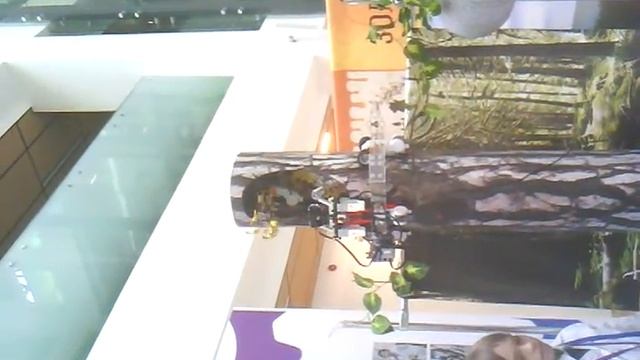 Робот Вини-пух смотреть онлайн