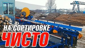 Транспортер для удаления мусора из под линии сортировки бревен