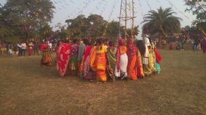 Santhali Sari Sohrai || Santhali Traditional Song || Santhali Video Song ||#sohrai #santali