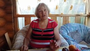 ДЕГУСТАЦИЯ ТОМАТОВ