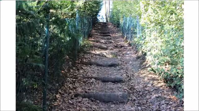 Я не знаю зачем, почему/ Автор Elena Krieger/Фото Автора смотреть онлайн