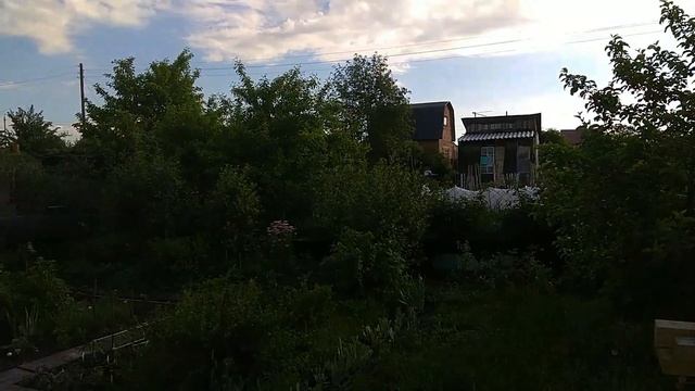 Лиса на даче смотреть онлайн