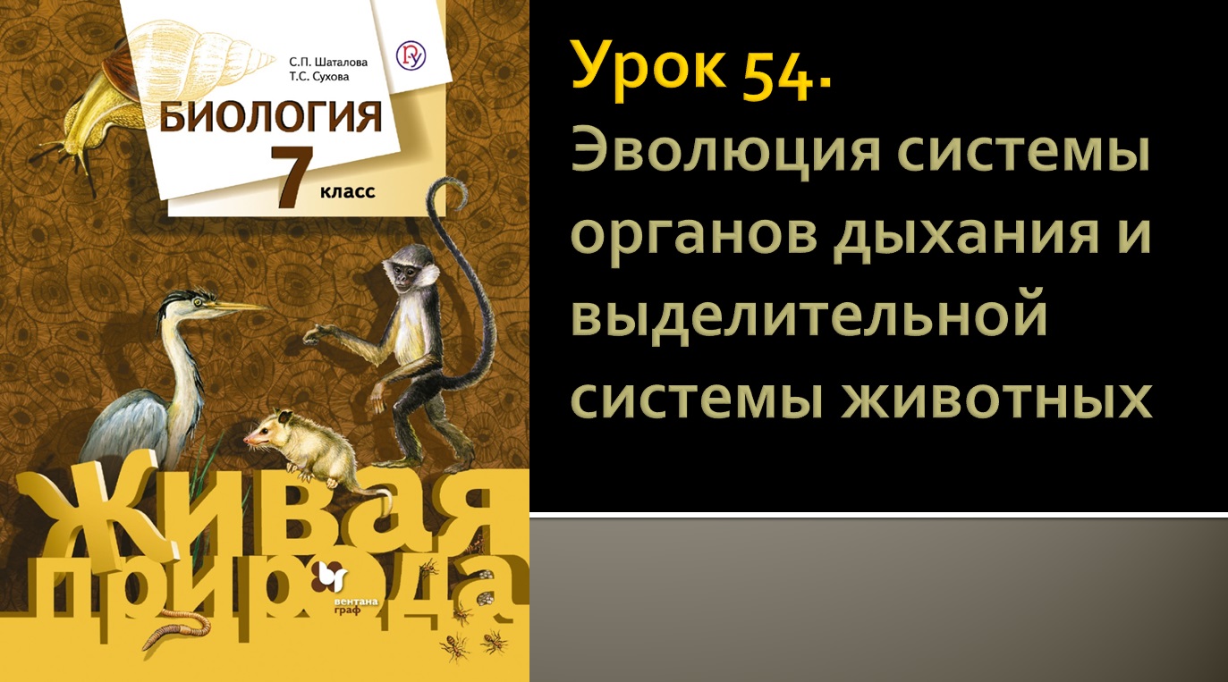 Урок 54. Эволюция системы органов дыхания и выделительной системы животных