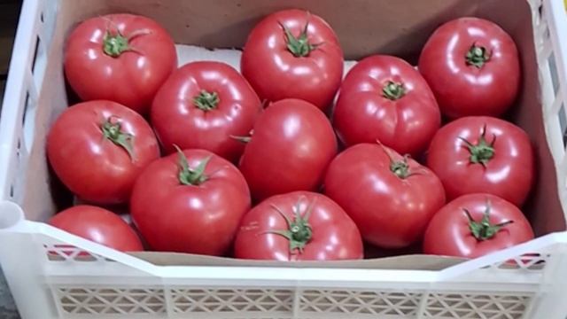 Россельхознадзором выявлена запрещенная к ввозу продукция
