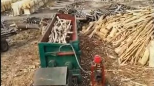 Бункерный окорочный станок _БОС_ для групповой окорки.
