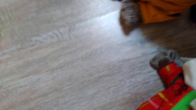 утро басиков#дискотека #бася и вася#вася и миша дома у басика
