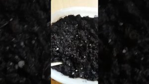 АСТРА АЛЬПИЙСКАЯ посев на рассаду? многолетник 12.02.2019