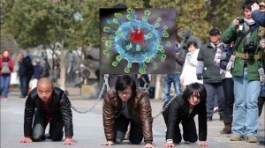 Мысли вслух .