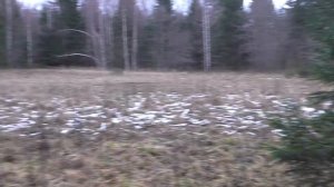 Лесной коп в ураган. Руслан сломал лопату и мега оглавие от энколпиона.