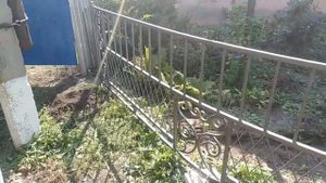 Уличные распашные ворота и калитка с Палисадником с элементами холодной ковки.