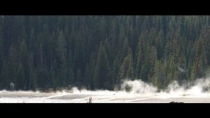 Yellow Stone National Park in 4K