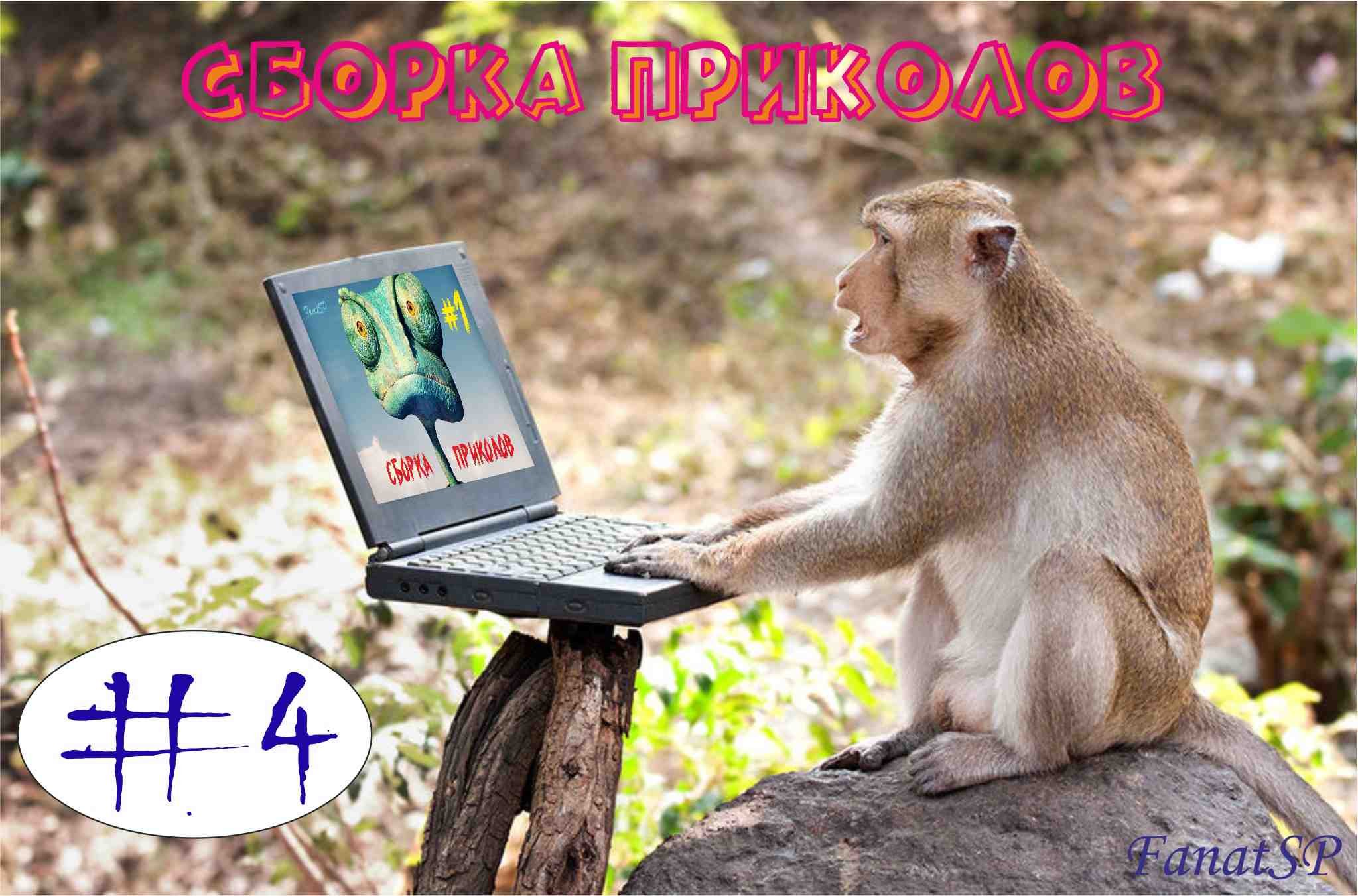 Смешные приколы