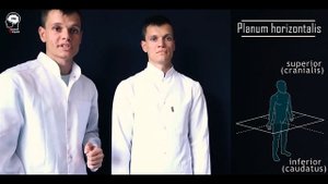 ОСНОВЫ АНАТОМИИ!!! ПЕРВОЕ ЗАНЯТИЕ / ПЛОСКОСТИ и ОСИ / ОСНОВНЫЕ ТЕРМИНЫ В АНАТОМИИ