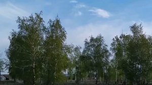 8 мая-МАРКОВ ДЕНЬ.Бабий день.Что скажет женщина,так и будет.Народные приметы.Поверья