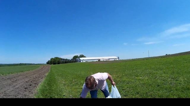 Asparagus Field Day at Schmidt Farm смотреть онлайн