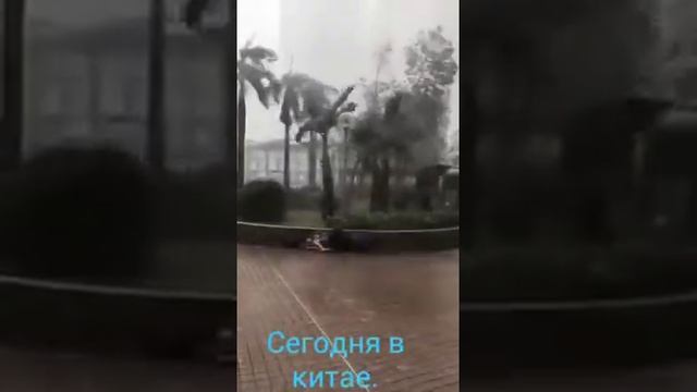 Буран в Китае смотреть онлайн