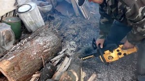 Бензопила Champion 137 Испытываем в жестоких нагрузках.