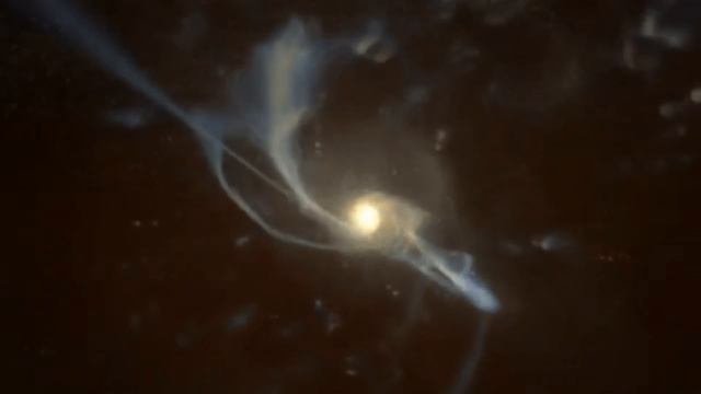 ANDROMEDAS UN PIENA CEĻA SADURSME смотреть онлайн