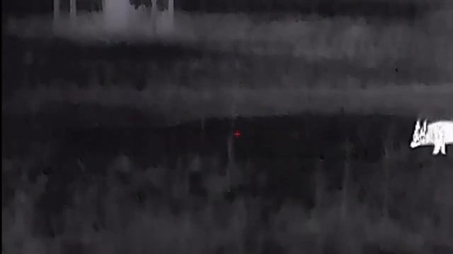 Тепловизор InfiRay TUBE TL50 смотреть онлайн