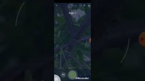 Бесплатное приложение для распознавания растений