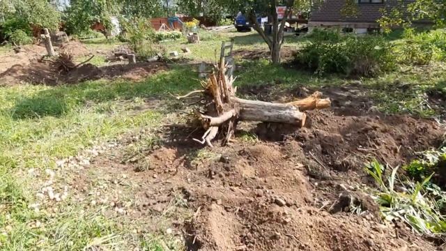 Удаление корней, планировка, изготовление газона. смотреть онлайн
