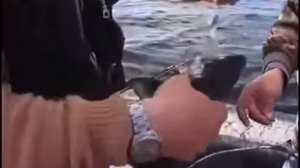 Рыбалка в Карелии, озера Карелии, рыбалка на Онежском озере