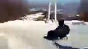 Гонки на санках УЛЁТ