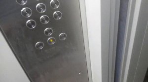 Лифты Ecomaks-(ЩЛЗ) 2018 г. V=1 м/с, Q=400-630 кг (1889)