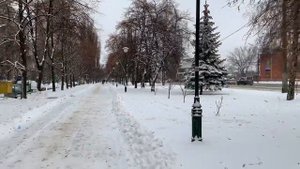 Ждем друзей в гости на Старый Новый год  Харьков завалило снегом | АРИНА БЕЛАЯ