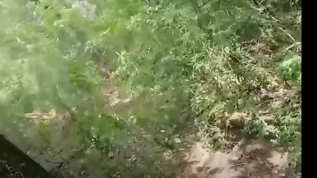 ТАНГО
