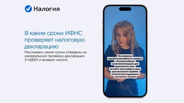 ? В какие сроки ИФНС проверяет налоговую декларацию