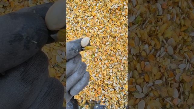 Робота кипить. Миємо, сушемо смотреть онлайн