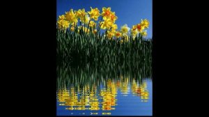 ФУТАЖИ ДЛЯ ВИДЕОМОНТАЖА