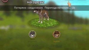 😳БАГ В ВАЙЛД КРАФТЕ!КАК СМЕНИТЬ ПОЛ?ОТВЕТ ТУТ😱🐺🌿