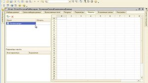 1С СКД 102 Макеты отчетов